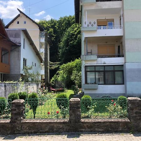 Apartament Confort - Băile Olăneşti Екстериор снимка